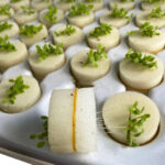 hydroponic Plastic tray