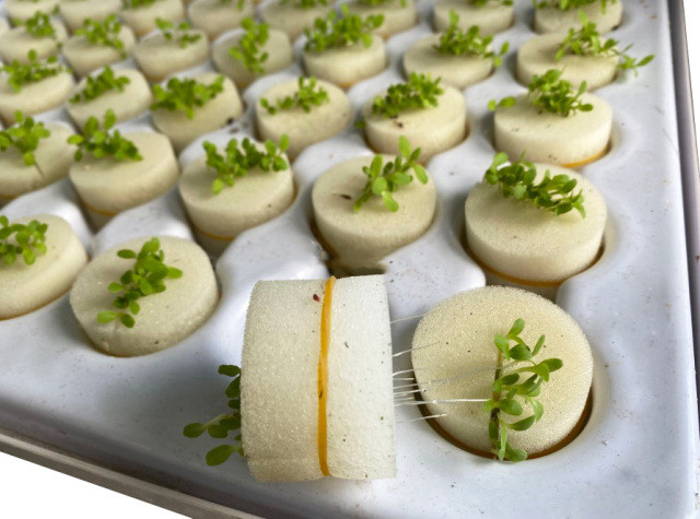 hydroponic Plastic tray