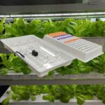 hydroponic Plastic tray